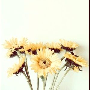 Hey beauties 💘 tap for more!!